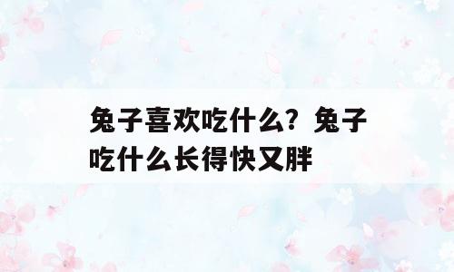 兔子喜欢吃什么？兔子吃什么长得快又胖