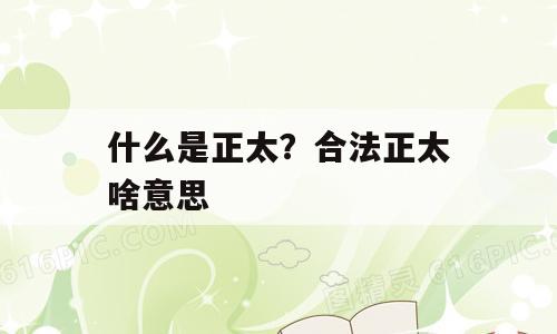 什么是正太？合法正太啥意思