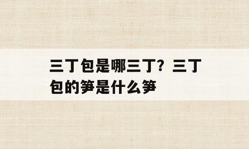 三丁包是哪三丁？三丁包的笋是什么笋
