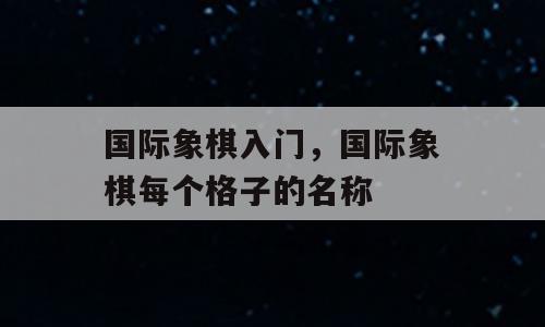 国际象棋入门，国际象棋每个格子的名称