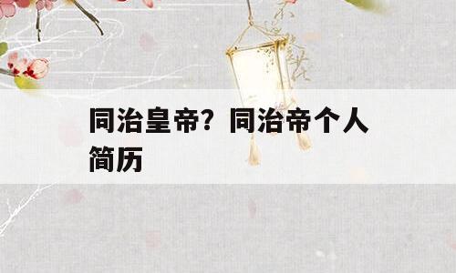 同治皇帝？同治帝个人简历