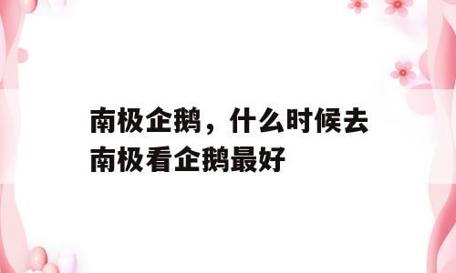 南极企鹅，什么时候去南极看企鹅最好