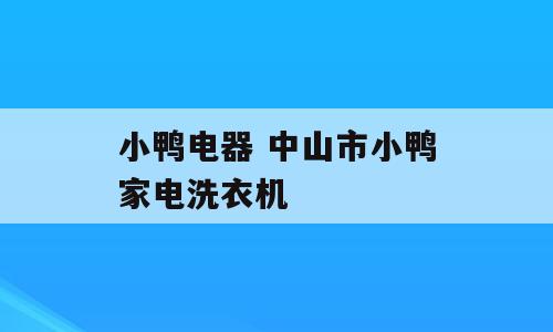 小鸭电器 中山市小鸭家电洗衣机