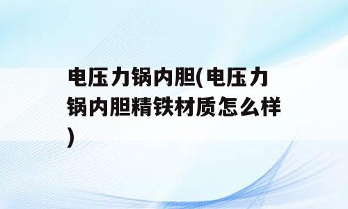 电压力锅内胆(电压力锅内胆精铁材质怎么样)
