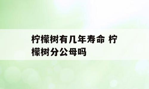 柠檬树有几年寿命 柠檬树分公母吗