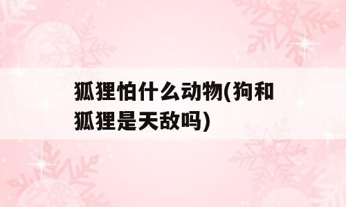 狐狸怕什么动物(狗和狐狸是天敌吗)