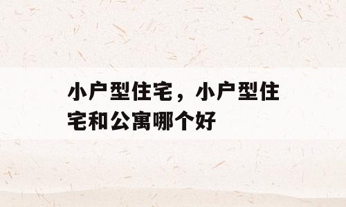 小户型住宅，小户型住宅和公寓哪个好