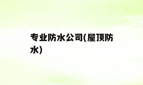 专业防水公司(屋顶防水)