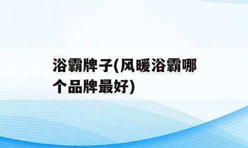 浴霸牌子(风暖浴霸哪个品牌最好)