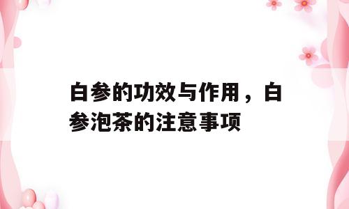 白参的功效与作用，白参泡茶的注意事项