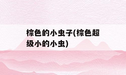 棕色的小虫子(棕色超级小的小虫)
