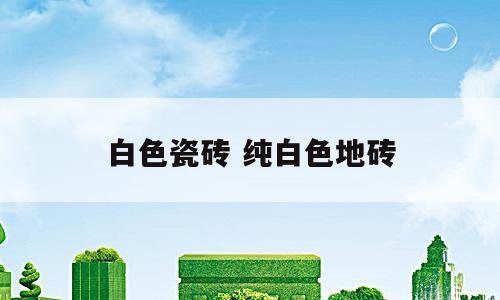 白色瓷砖 纯白色地砖