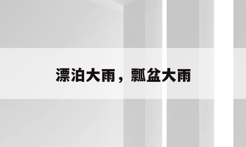 漂泊大雨，瓢盆大雨