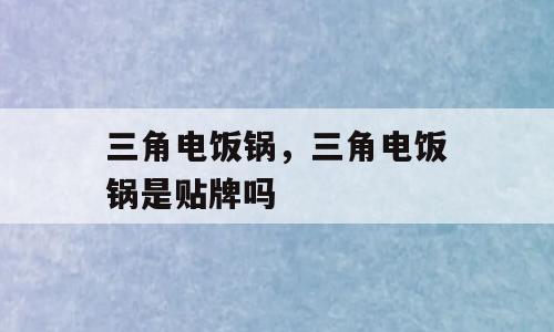 三角电饭锅，三角电饭锅是贴牌吗