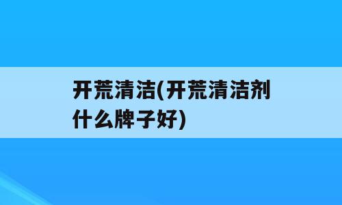 开荒清洁(开荒清洁剂什么牌子好)