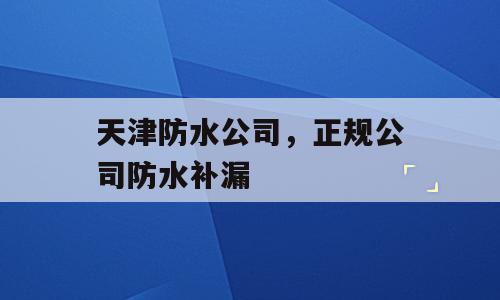 天津防水公司，正规公司防水补漏
