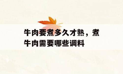 牛肉要煮多久才熟，煮牛肉需要哪些调料