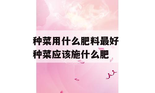 种菜用什么肥料最好 种菜应该施什么肥