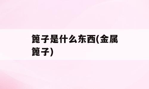篦子是什么东西(金属篦子)