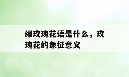 绿玫瑰花语是什么，玫瑰花的象征意义