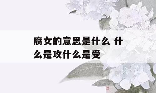 腐女的意思是什么 什么是攻什么是受