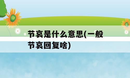 节哀是什么意思(一般节哀回复啥)