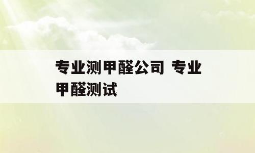 专业测甲醛公司 专业甲醛测试