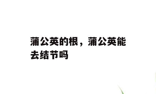 蒲公英的根，蒲公英能去结节吗