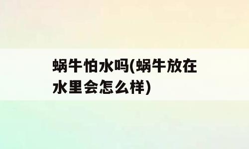蜗牛怕水吗(蜗牛放在水里会怎么样)