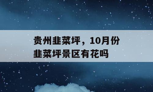 贵州韭菜坪，10月份韭菜坪景区有花吗