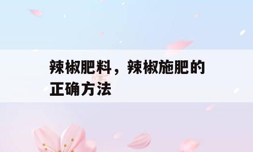 辣椒肥料，辣椒施肥的正确方法