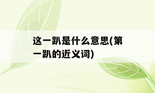 这一趴是什么意思(第一趴的近义词)
