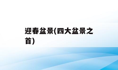 迎春盆景(四大盆景之首)