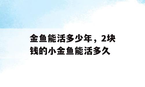金鱼能活多少年，2块钱的小金鱼能活多久