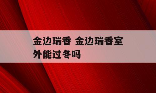 金边瑞香 金边瑞香室外能过冬吗