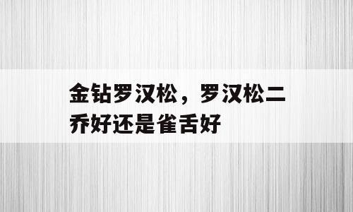 金钻罗汉松，罗汉松二乔好还是雀舌好