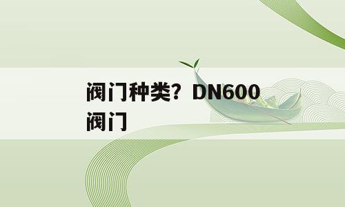 阀门种类？DN600阀门