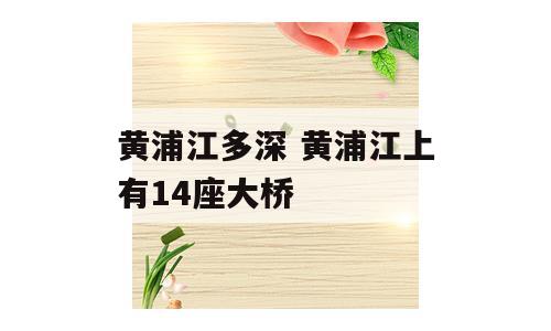 黄浦江多深 黄浦江上有14座大桥