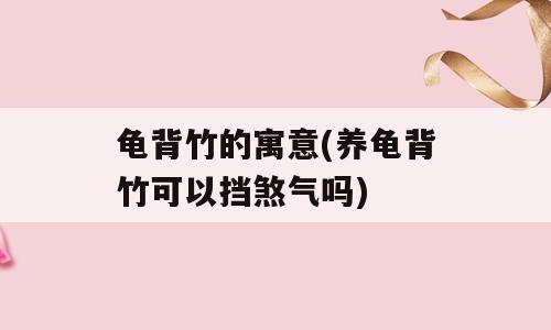 龟背竹的寓意(养龟背竹可以挡煞气吗)