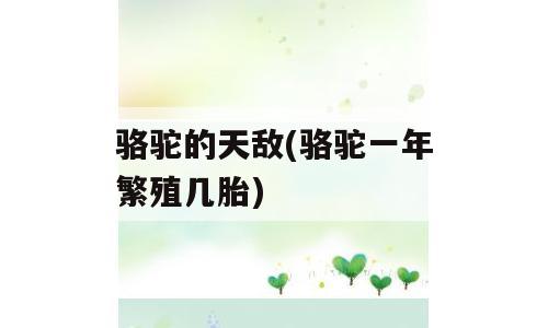 骆驼的天敌(骆驼一年繁殖几胎)