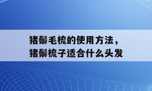 猪鬃毛梳的使用方法，猪鬃梳子适合什么头发