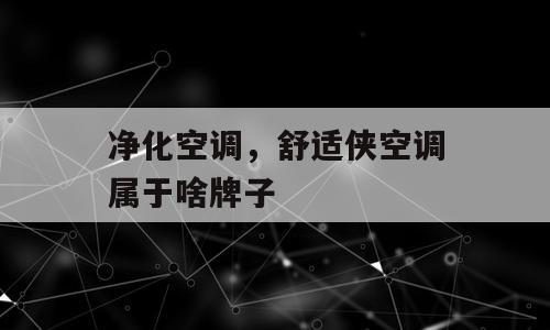 净化空调，舒适侠空调属于啥牌子