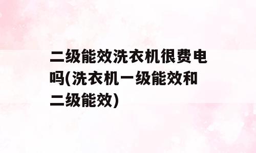 二级能效洗衣机很费电吗(洗衣机一级能效和二级能效)
