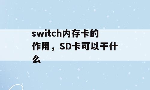 switch内存卡的作用，SD卡可以干什么