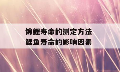 锦鲤寿命的测定方法 鲤鱼寿命的影响因素