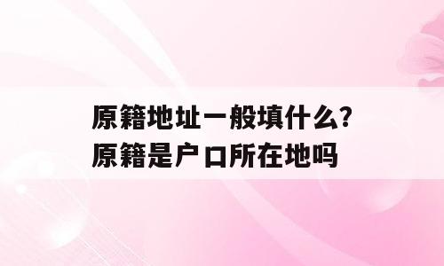 原籍地址一般填什么？原籍是户口所在地吗