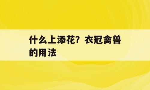 什么上添花？衣冠禽兽的用法