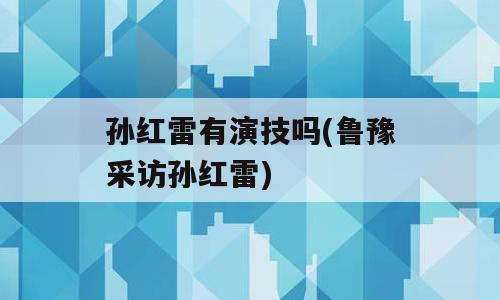 孙红雷有演技吗(鲁豫采访孙红雷)