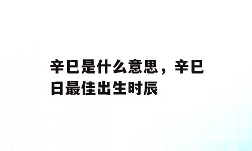 辛巳是什么意思，辛巳日最佳出生时辰
