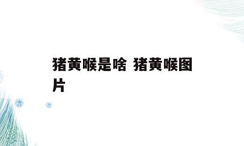 猪黄喉是啥 猪黄喉图片